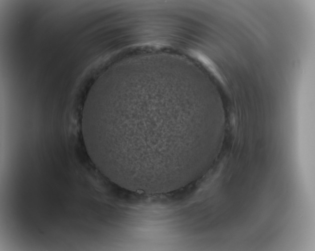 X0000089701064200707051639