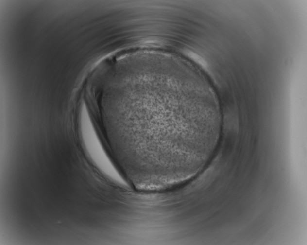 X0000089701066200707051639