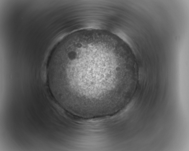 X0000089701067200707051639