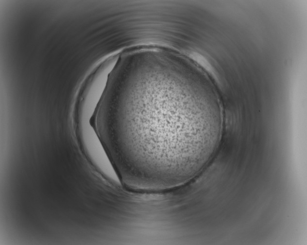 X0000089701068200707051639