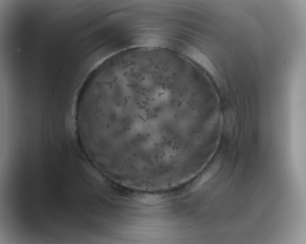 X0000089701071200707051639