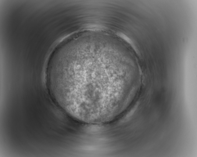 X0000089701074200707051639