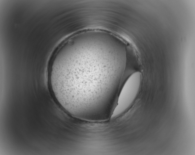 X0000089701076200707051639