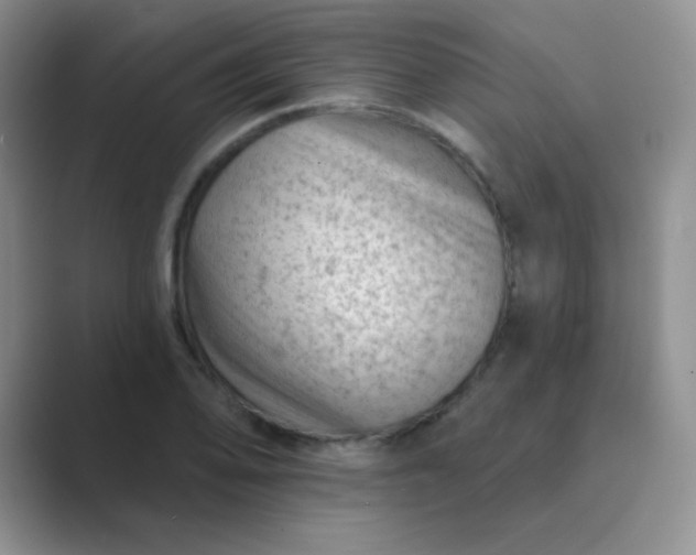 X0000089701078200707051639