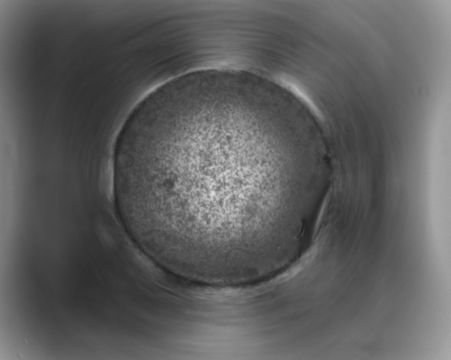 X0000089701079200707051639