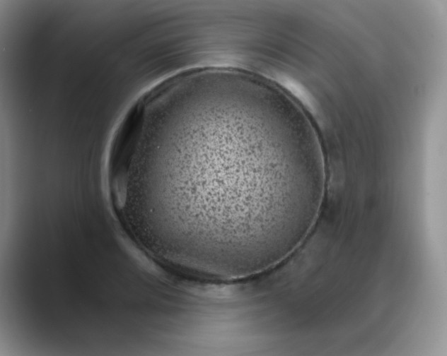 X0000089701080200707051639