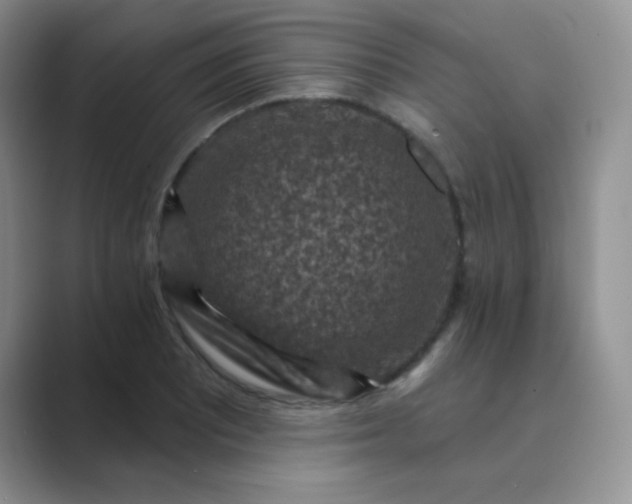 X0000089701081200707051639