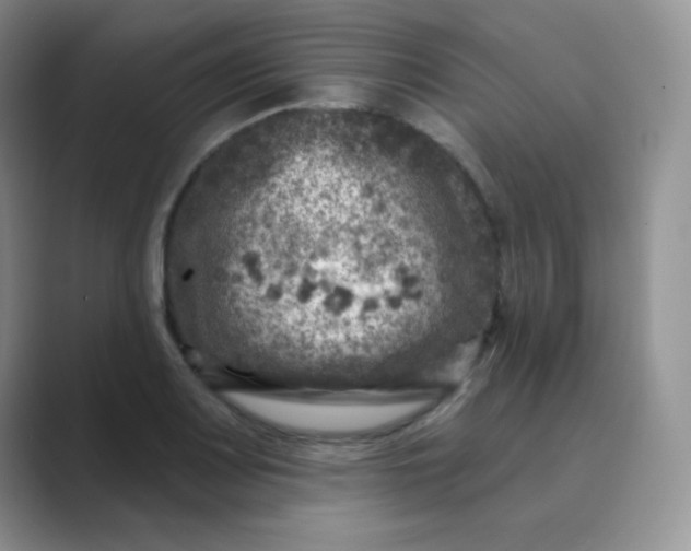 X0000089701083200707051639