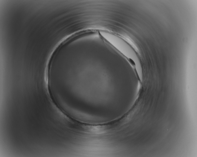 X0000089701084200707051639