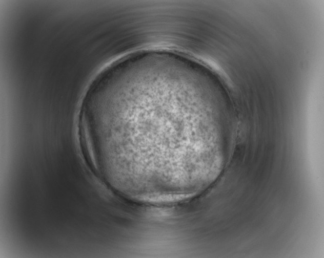 X0000089701086200707051639