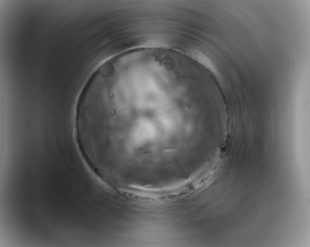 X0000089701087200707051639