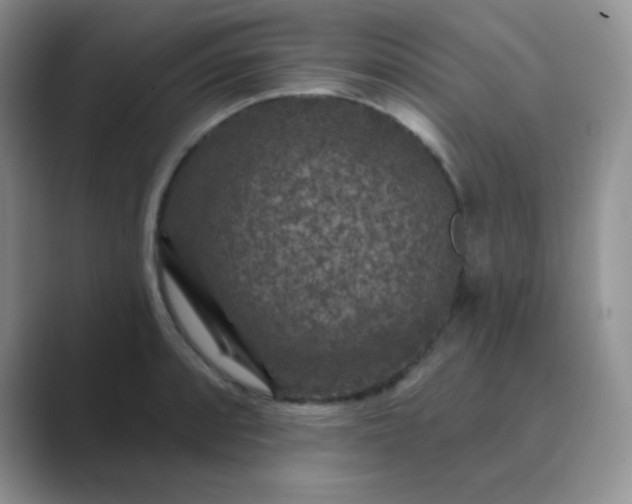 X0000089701088200707051639