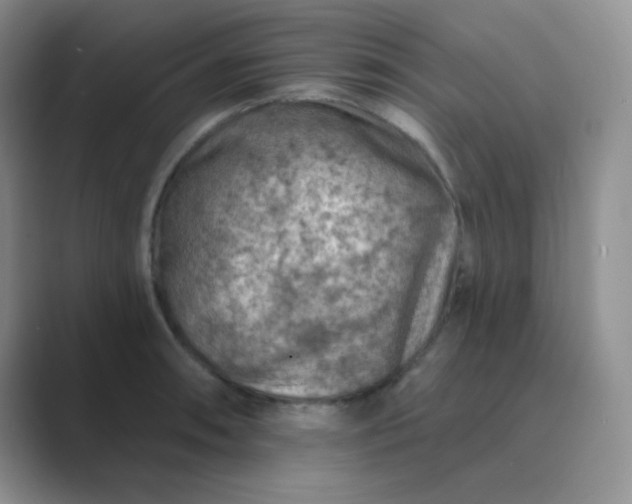 X0000089701090200707051639