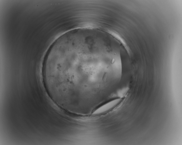 X0000089701091200707051639