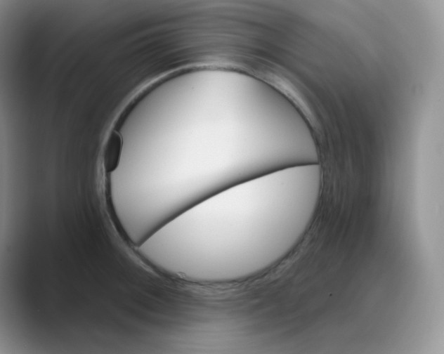 X0000089701092200707051639