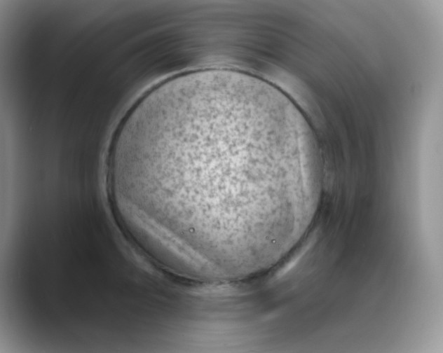 X0000089701094200707051639