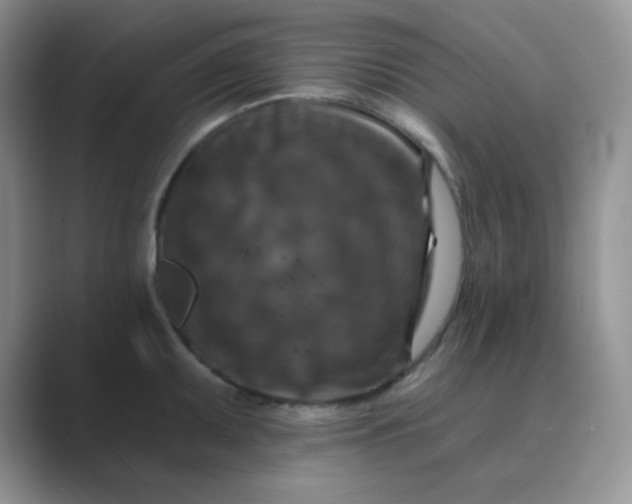 X0000089701095200707051639