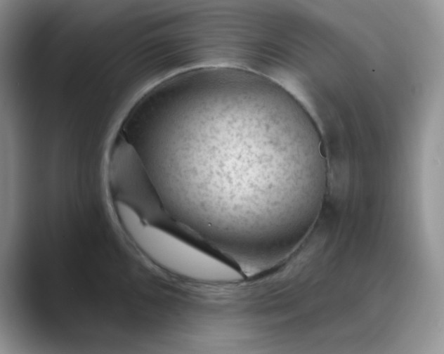 X0000089701096200707051639