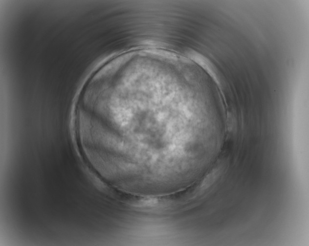 X0000089701098200707051639