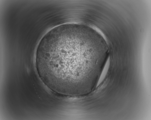 X0000089701099200707051639