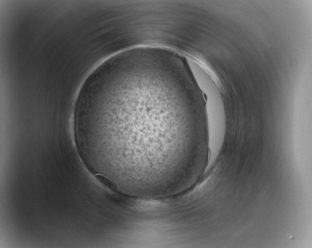 X0000089701100200707051639