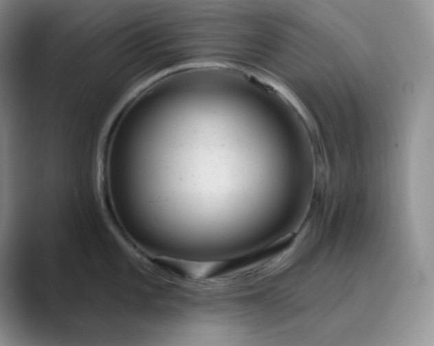 X0000089701101200707051639