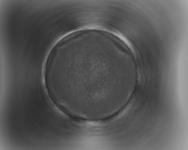 X0000089701102200707051639