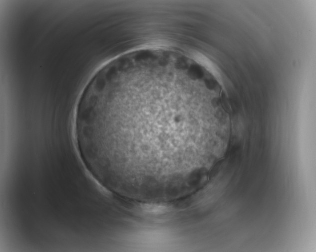 X0000089701103200707051639