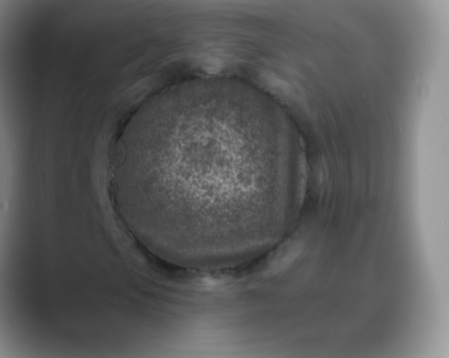 X0000089701105200707051638