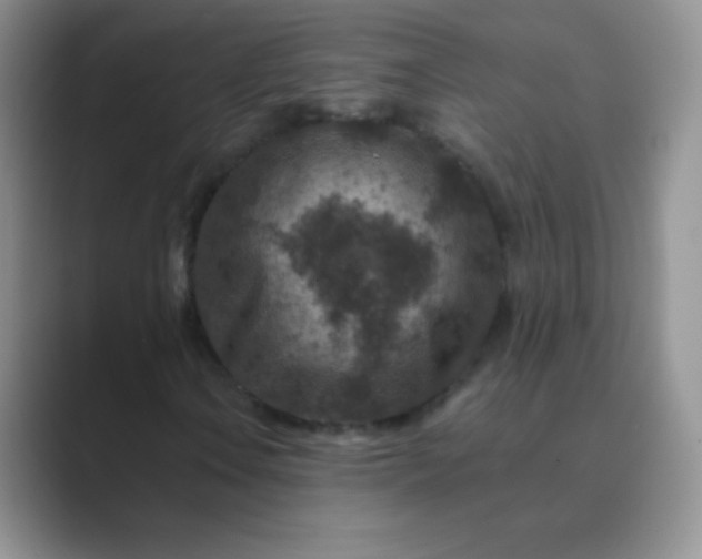 X0000089701106200707051638