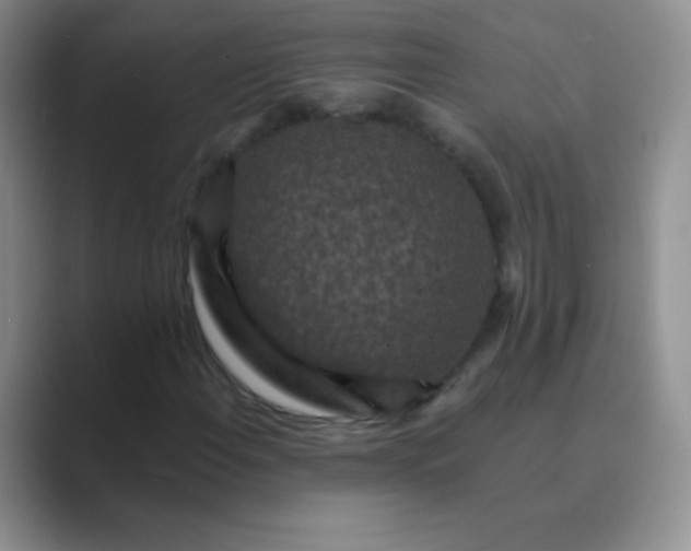 X0000089701108200707051638