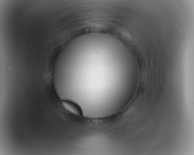 X0000089701109200707051638