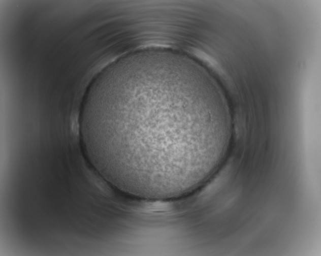 X0000089701113200707051638