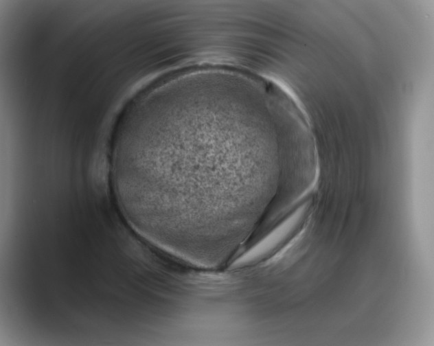 X0000089701115200707051638