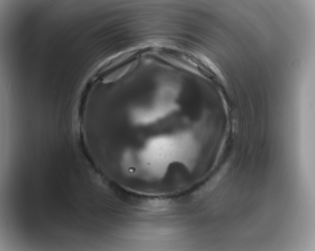 X0000089701117200707051638