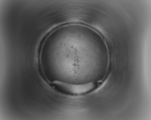 X0000089701118200707051638