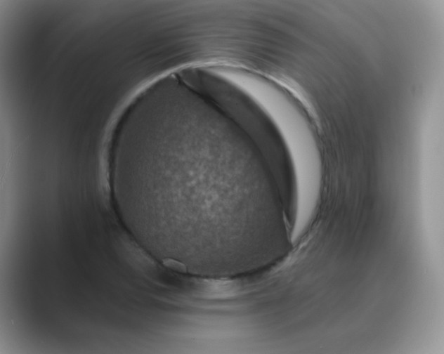 X0000089701120200707051638