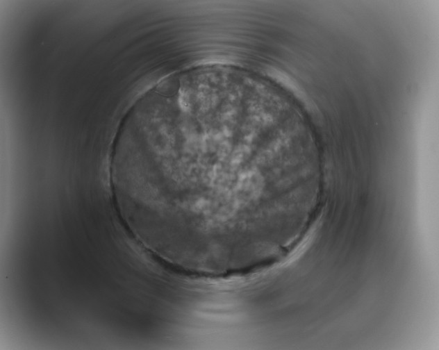 X0000089701121200707051638