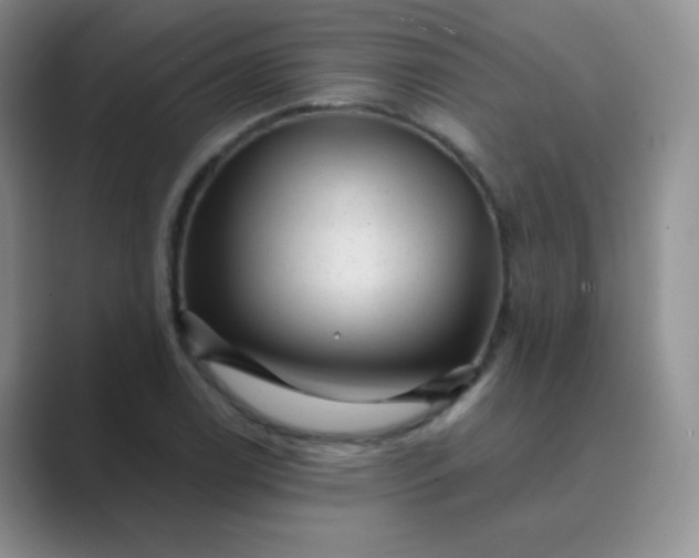 X0000089701122200707051638