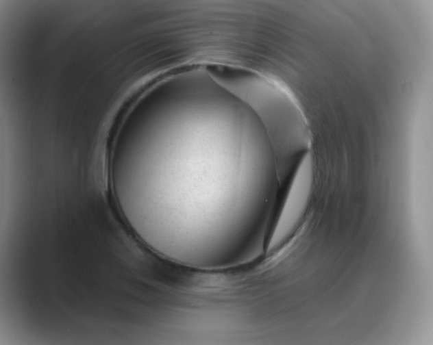 X0000089701123200707051638