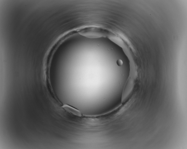 X0000089701124200707051638