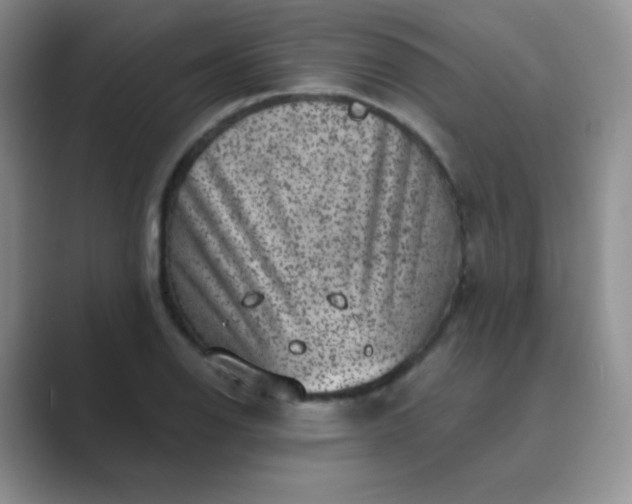 X0000089701126200707051638