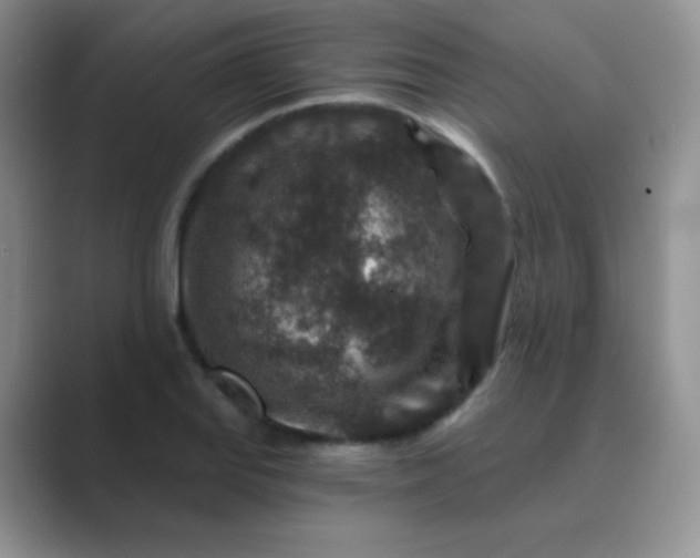 X0000089701127200707051638