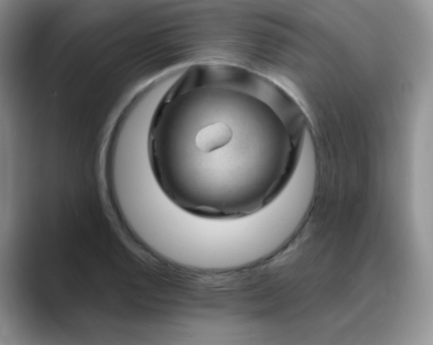 X0000089701128200707051639