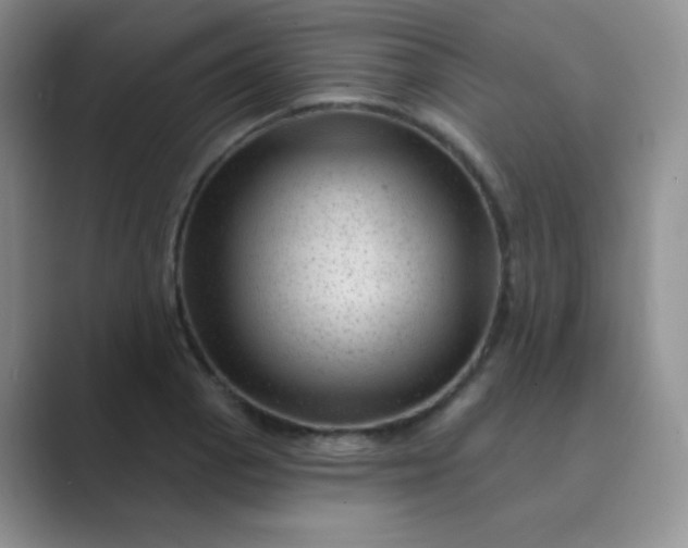 X0000089701129200707051639