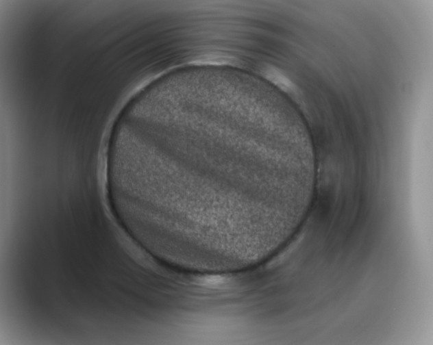 X0000089701130200707051639