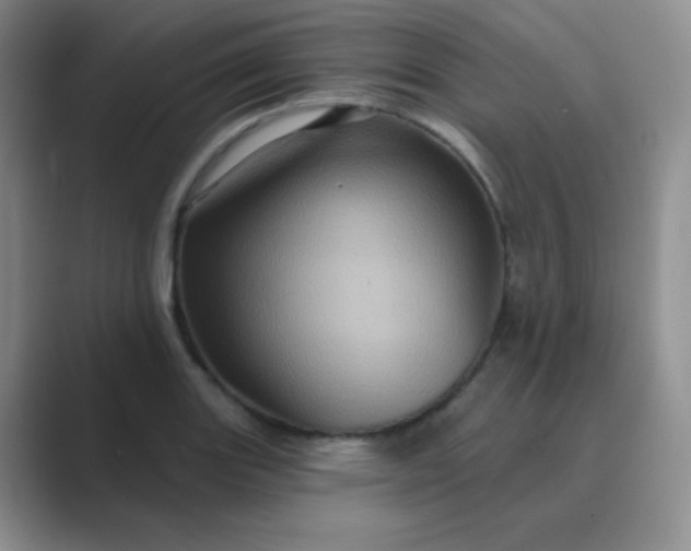 X0000089701131200707051639