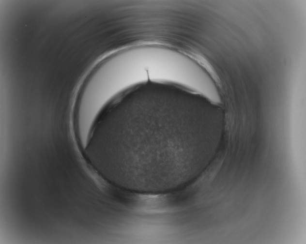 X0000089701132200707051639