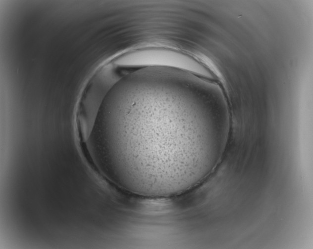 X0000089701133200707051639