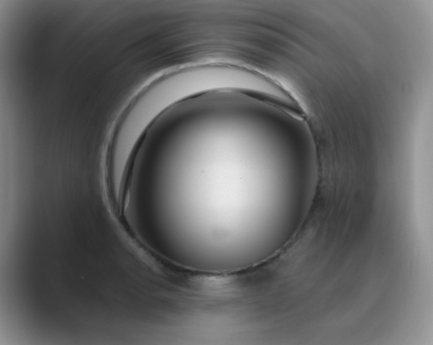 X0000089701134200707051639